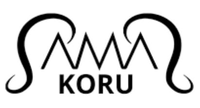 samaskoru_alennuskoodi_logo